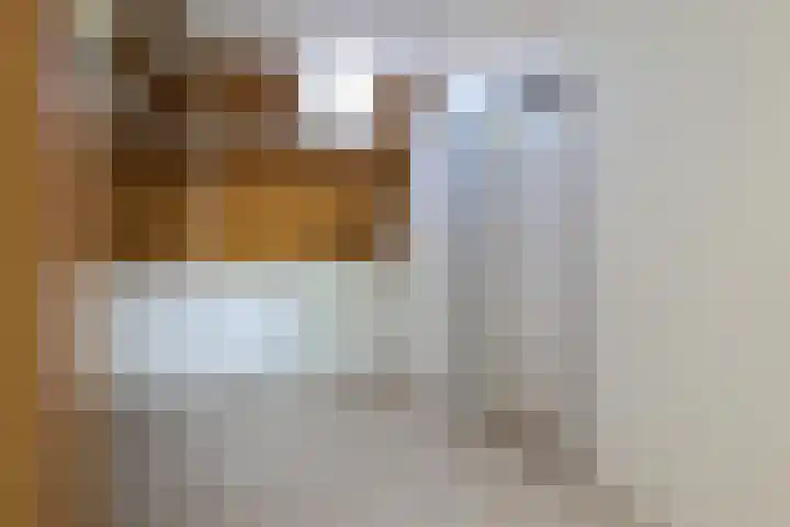 Harinxmastrjitte 52 Heeg thumbnail 39