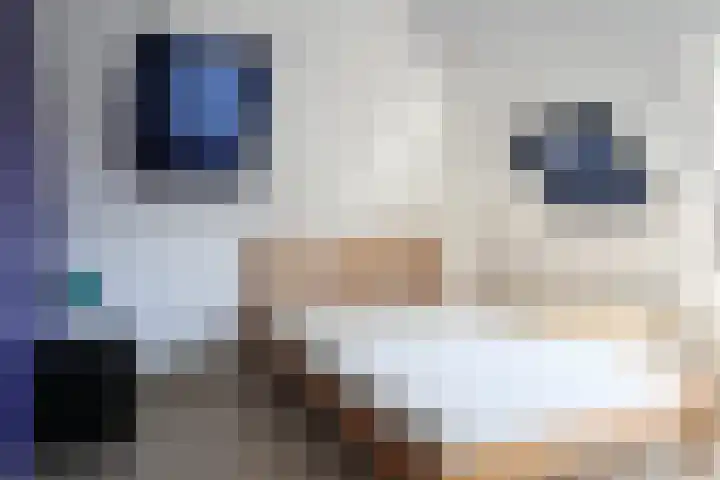 Harinxmastrjitte 52 Heeg thumbnail 41