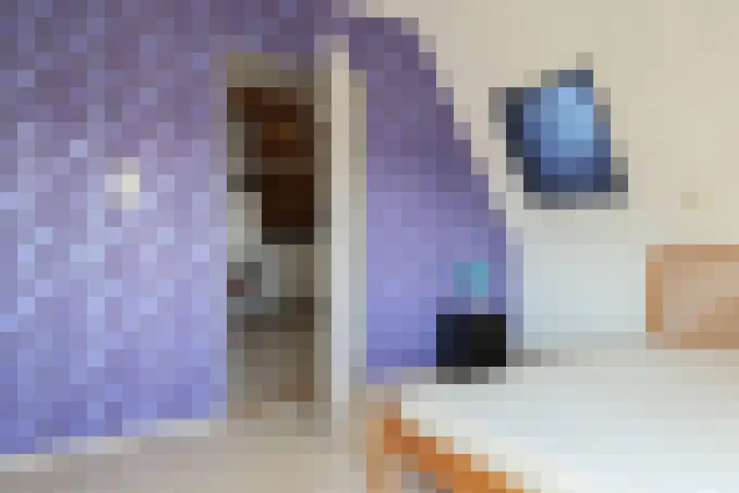 Harinxmastrjitte 52 Heeg thumbnail 43