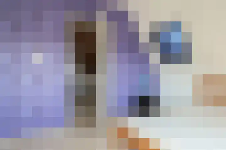Harinxmastrjitte 52 Heeg thumbnail 43