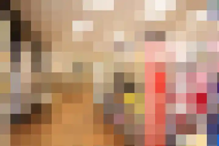 Harinxmastrjitte 52 Heeg thumbnail 46