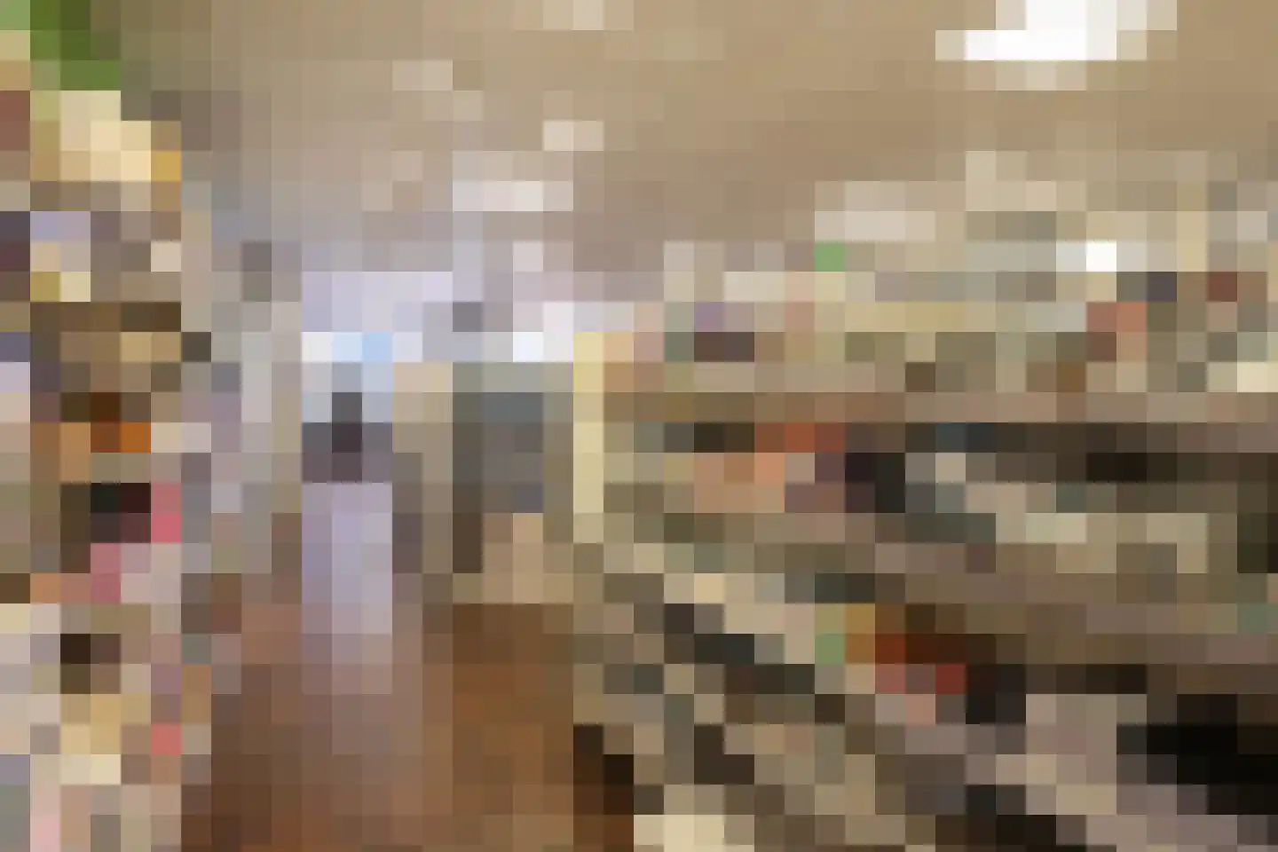 Harinxmastrjitte 52 Heeg thumbnail 48