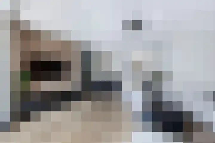 Hark 10 Bovenkarspel thumbnail 12