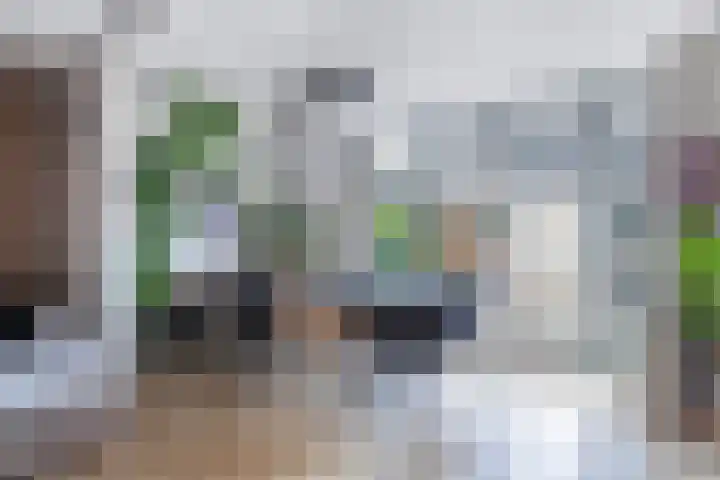 Hark 10 Bovenkarspel thumbnail 13