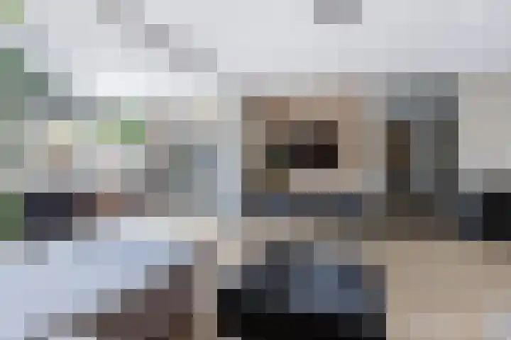 Hark 10 Bovenkarspel thumbnail 17