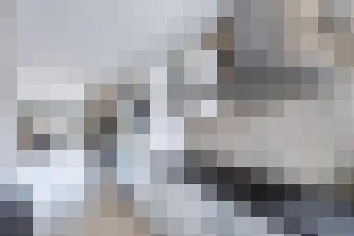 Hark 10 Bovenkarspel thumbnail 20