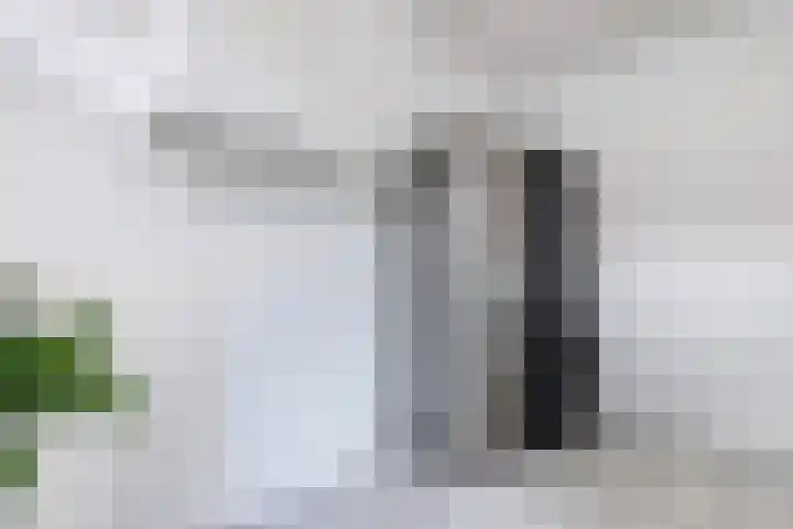 Hark 10 Bovenkarspel thumbnail 23