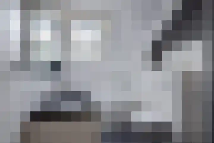 Hark 10 Bovenkarspel thumbnail 31