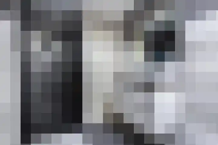 Hark 10 Bovenkarspel thumbnail 32