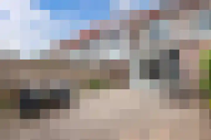 Hark 10 Bovenkarspel thumbnail 42