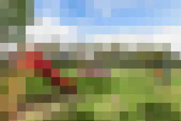 Hark 10 Bovenkarspel thumbnail 48