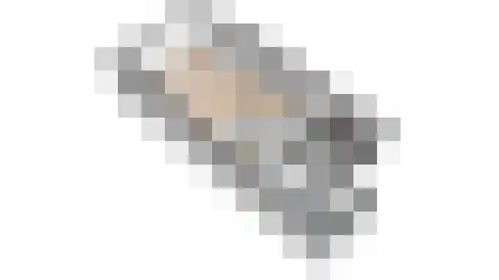 Hark 10 Bovenkarspel thumbnail 53