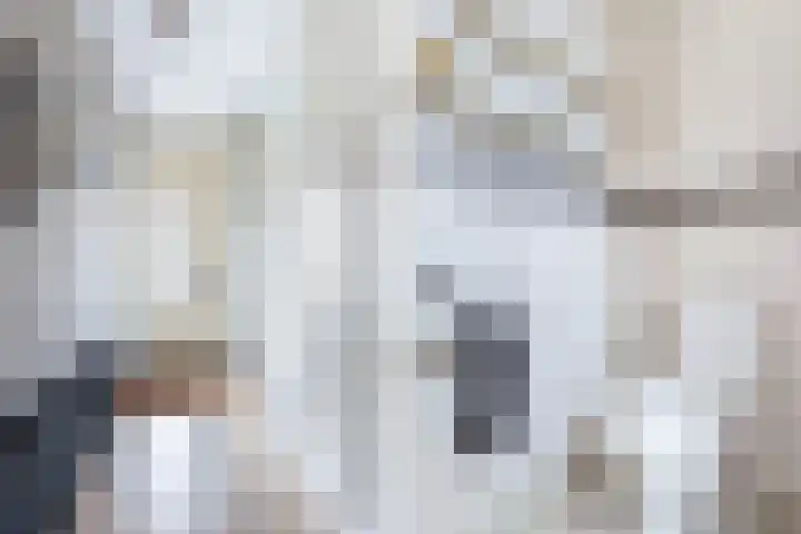 Hark 10 Bovenkarspel thumbnail 8