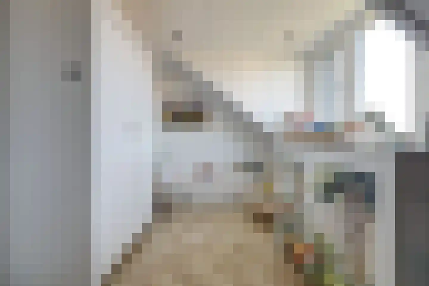 Hark 12 Hendrik-Ido-Ambacht thumbnail 33