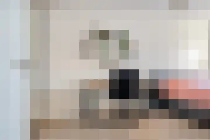 Hark 121 Hendrik-Ido-Ambacht thumbnail 20