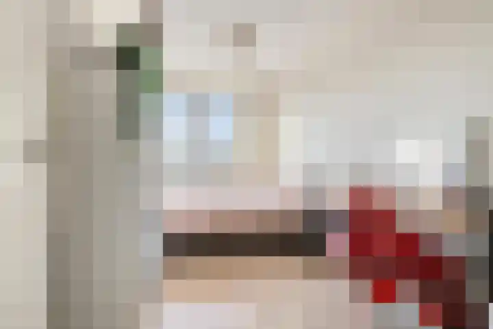 Hark 121 Hendrik-Ido-Ambacht thumbnail 25