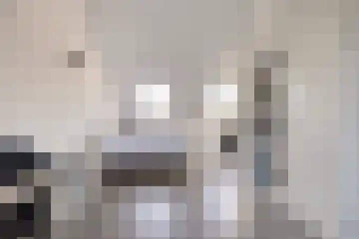 Hark 121 Hendrik-Ido-Ambacht thumbnail 33