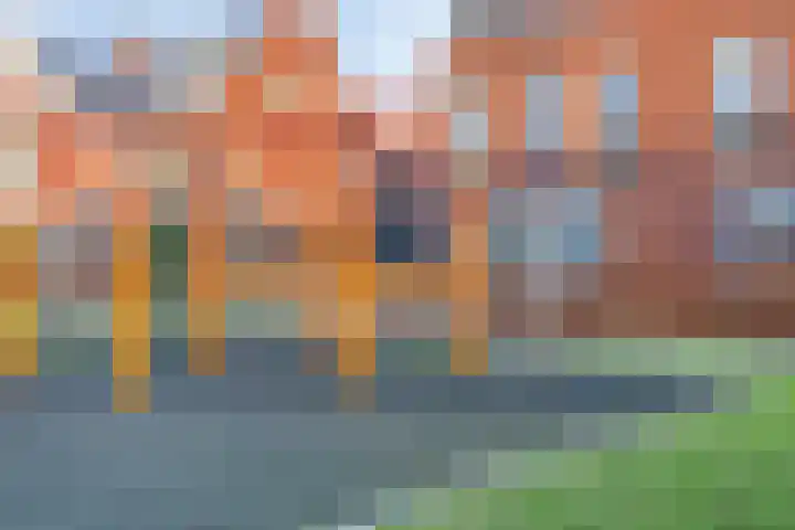 Hark 121 Hendrik-Ido-Ambacht thumbnail 44