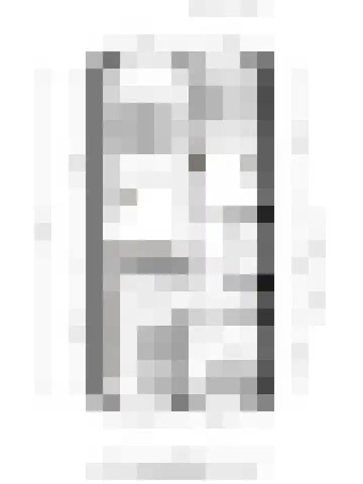 Hark 121 Hendrik-Ido-Ambacht thumbnail 47