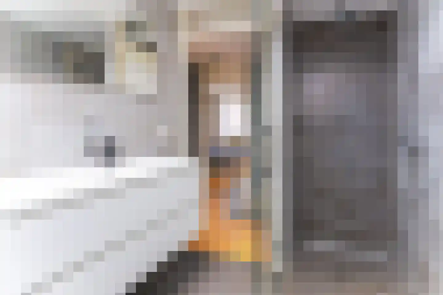 Hark 15 Bovenkarspel thumbnail 30
