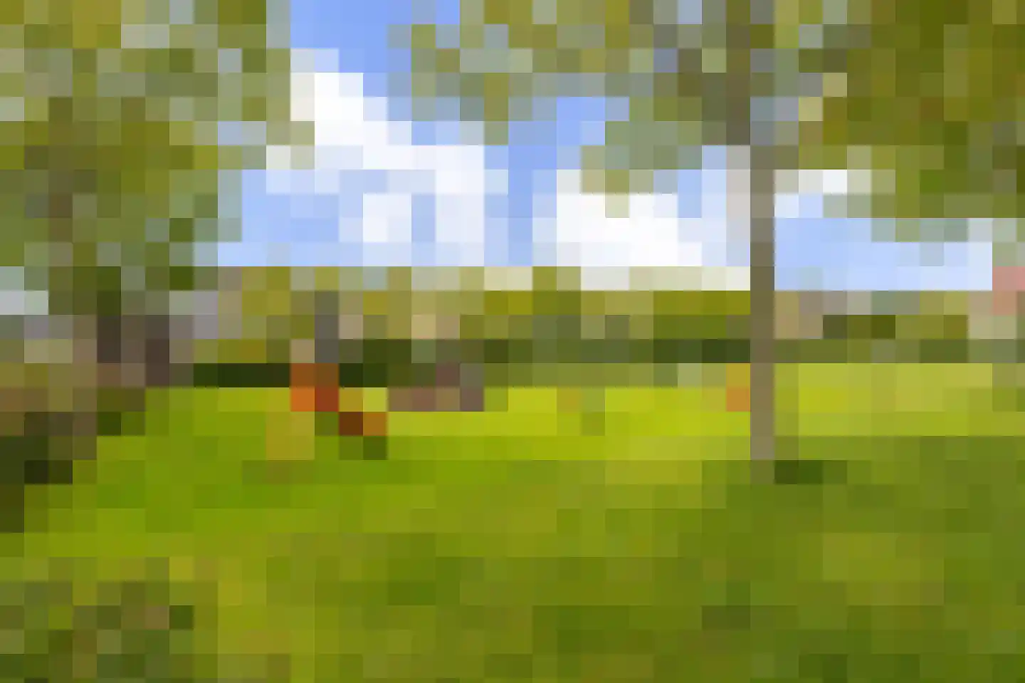 Hark 15 Bovenkarspel thumbnail 34