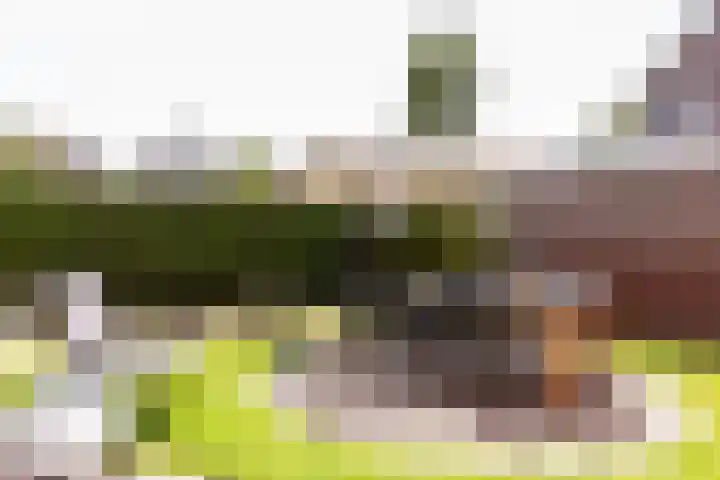 Hark 40 Bovenkarspel thumbnail 12