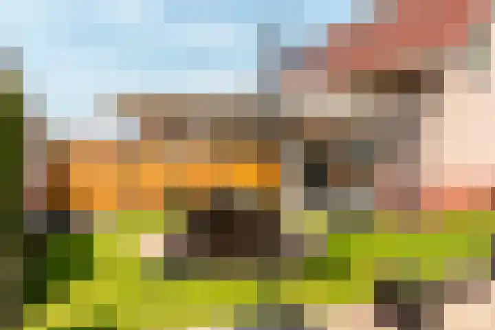 Hark 40 Bovenkarspel thumbnail 14