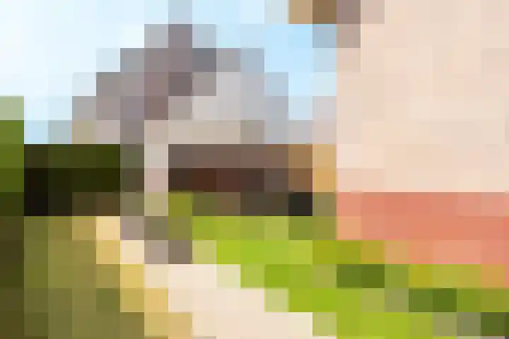 Hark 40 Bovenkarspel thumbnail 15