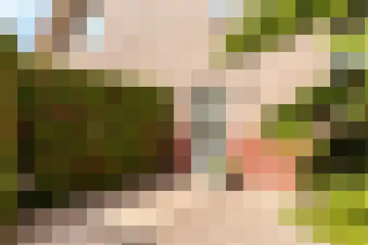 Hark 40 Bovenkarspel thumbnail 16