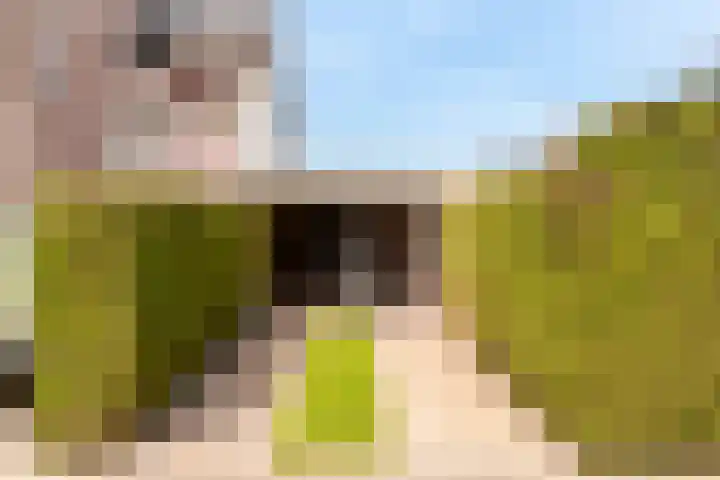 Hark 40 Bovenkarspel thumbnail 18