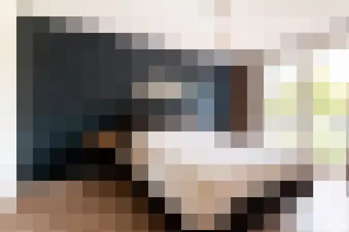 Hark 40 Bovenkarspel thumbnail 21