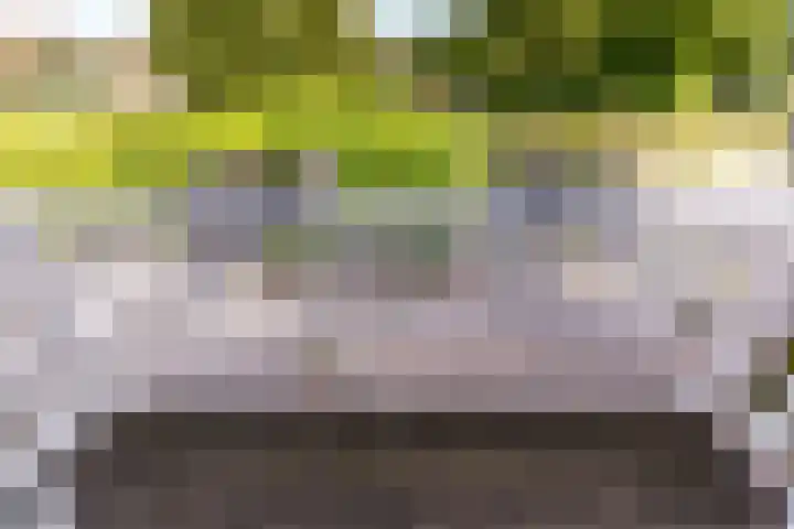 Hark 40 Bovenkarspel thumbnail 23