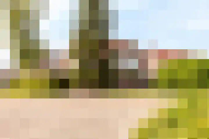 Hark 40 Bovenkarspel thumbnail 30