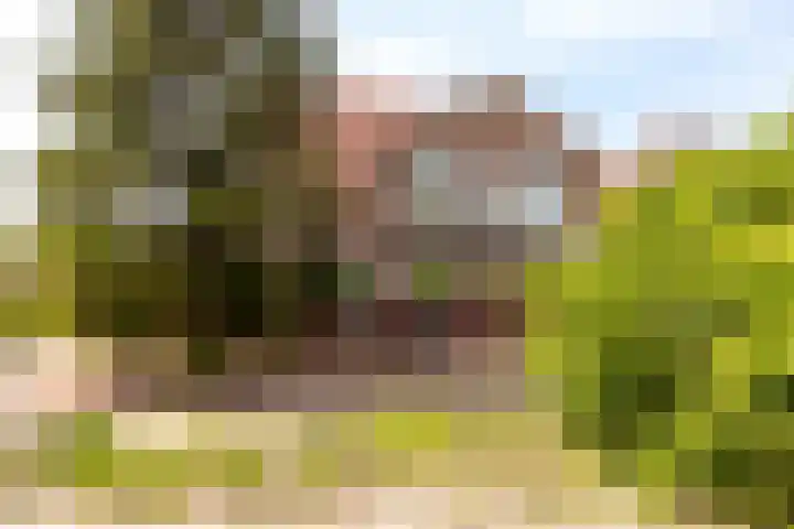 Hark 40 Bovenkarspel thumbnail 31