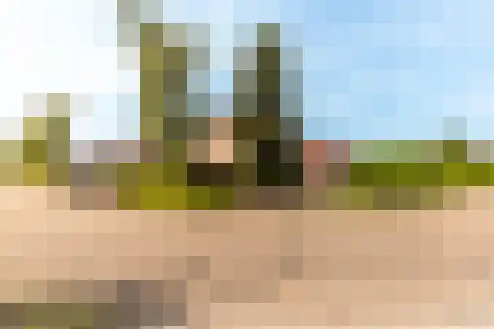 Hark 40 Bovenkarspel thumbnail 32