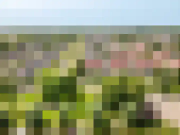 Hark 40 Bovenkarspel thumbnail 33