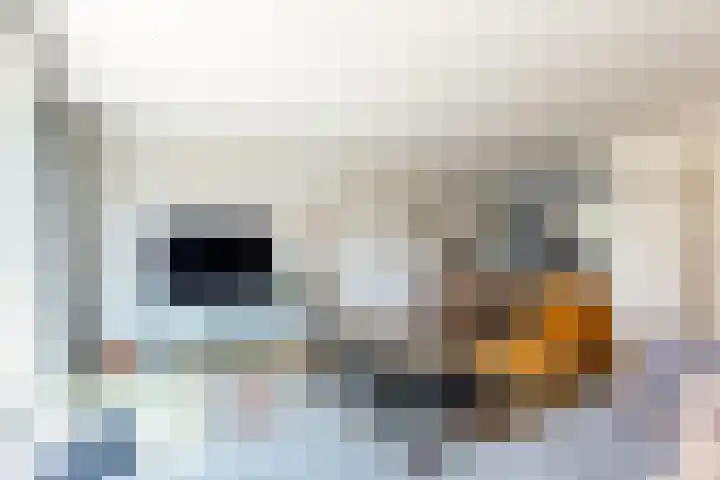 Hark 40 Bovenkarspel thumbnail 6