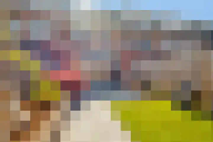 Hark 55 Hendrik-Ido-Ambacht thumbnail 20