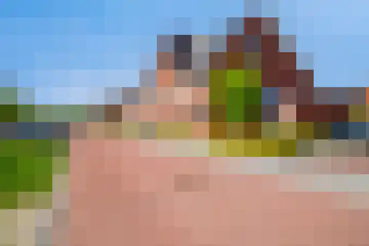 Hark 55 Hendrik-Ido-Ambacht thumbnail 24