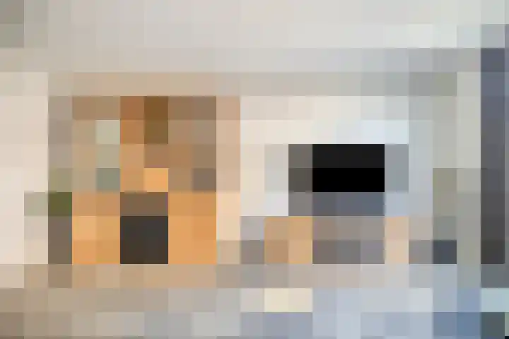 Hark 55 Hendrik-Ido-Ambacht thumbnail 4