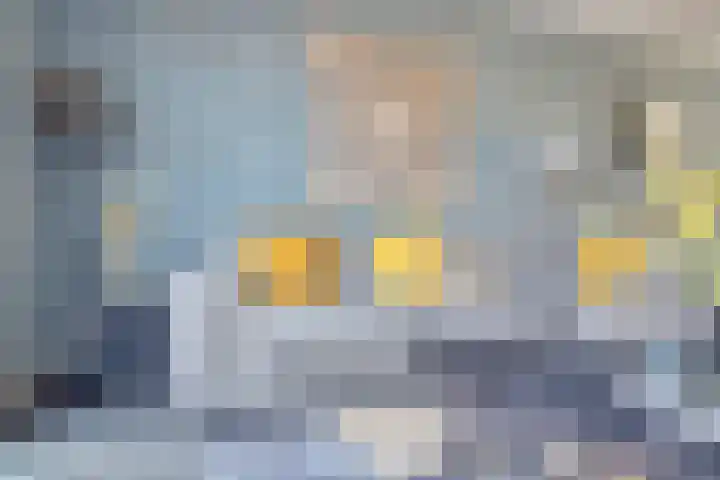 Hark 55 Hendrik-Ido-Ambacht thumbnail 5