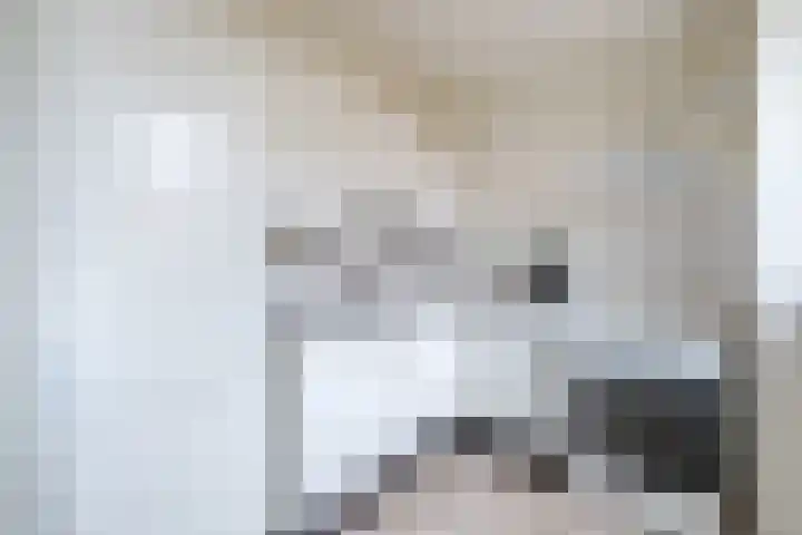 Hark 6 Bovenkarspel thumbnail 15