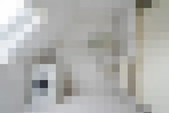 Hark 6 Bovenkarspel thumbnail 26