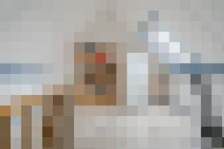 Hark 6 Bovenkarspel foto 3