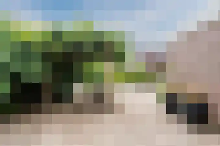 Hark 6 Bovenkarspel thumbnail 31