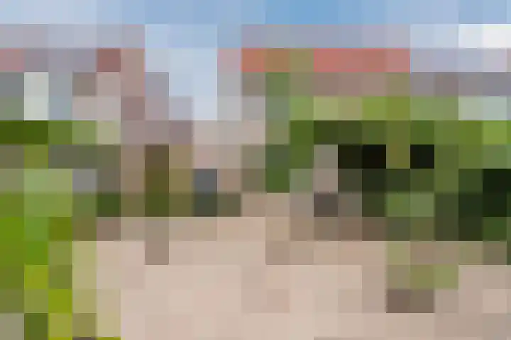 Hark 6 Bovenkarspel thumbnail 33