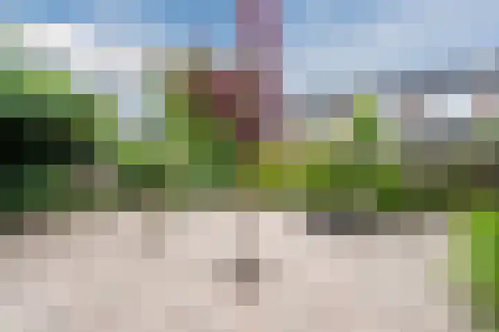 Hark 6 Bovenkarspel thumbnail 34