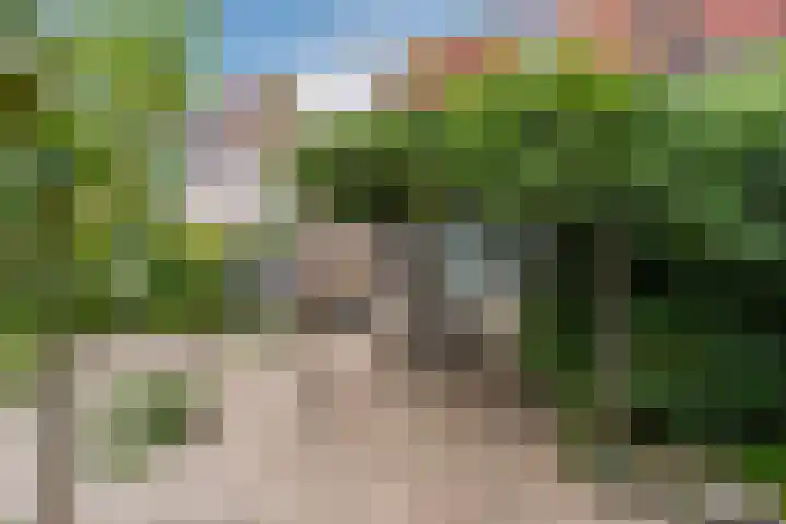 Hark 6 Bovenkarspel thumbnail 35