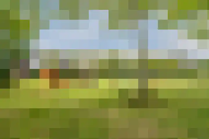 Hark 6 Bovenkarspel thumbnail 37