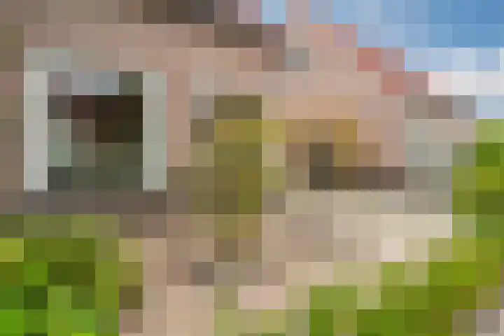 Hark 6 Bovenkarspel thumbnail 8